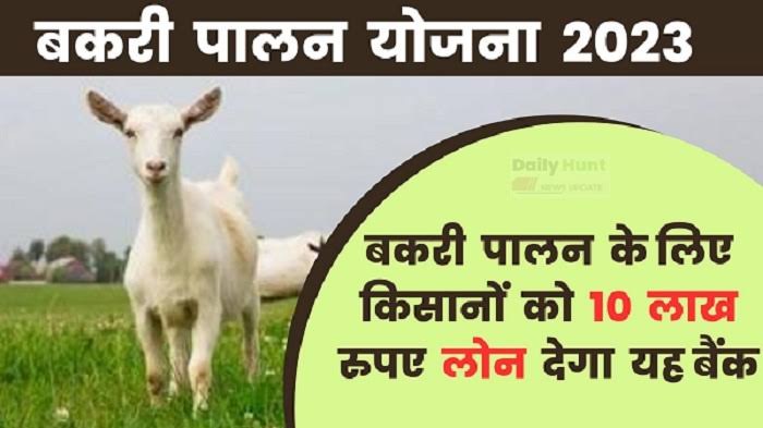 Goat Farming Apply Loan 2023 : छोटे किसानो के लिए सुनहरा मौका, अब बैंक दे रही हैं बकरी पालन के लिए ₹10 लाख तक का लोन, ऐसे करें आवेदन