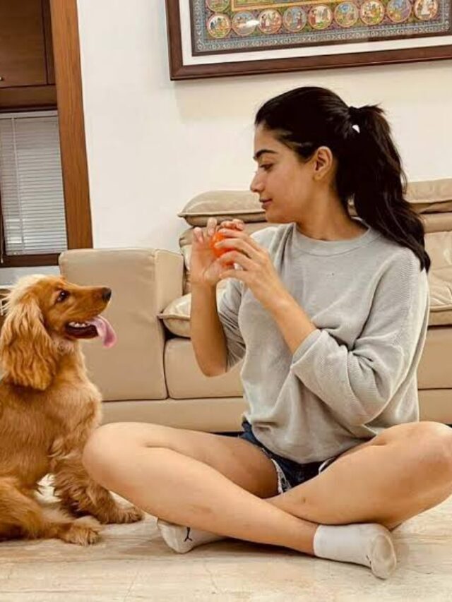 Rashmika Mandanna House: मुंबई में बेहद आलीशान है ‘एनिमल’ एक्ट्रेस