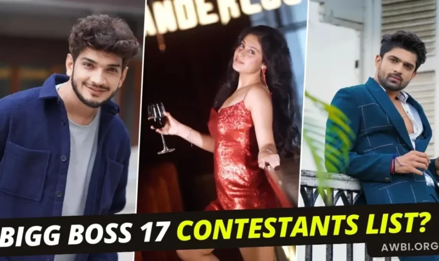 bigg boss 17 contestants list