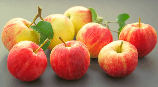 Benefits of Apple (Seb Khane Fayde): Apple is a boon for health, know what is the right time to eat it