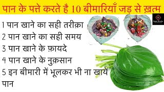 Betel leaves: Uses, benefits, side effects, know complete information